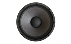 5215Neo - 15" Neo Coaxial Speaker
