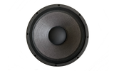 5215Neo - 15" Neo Coaxial Speaker