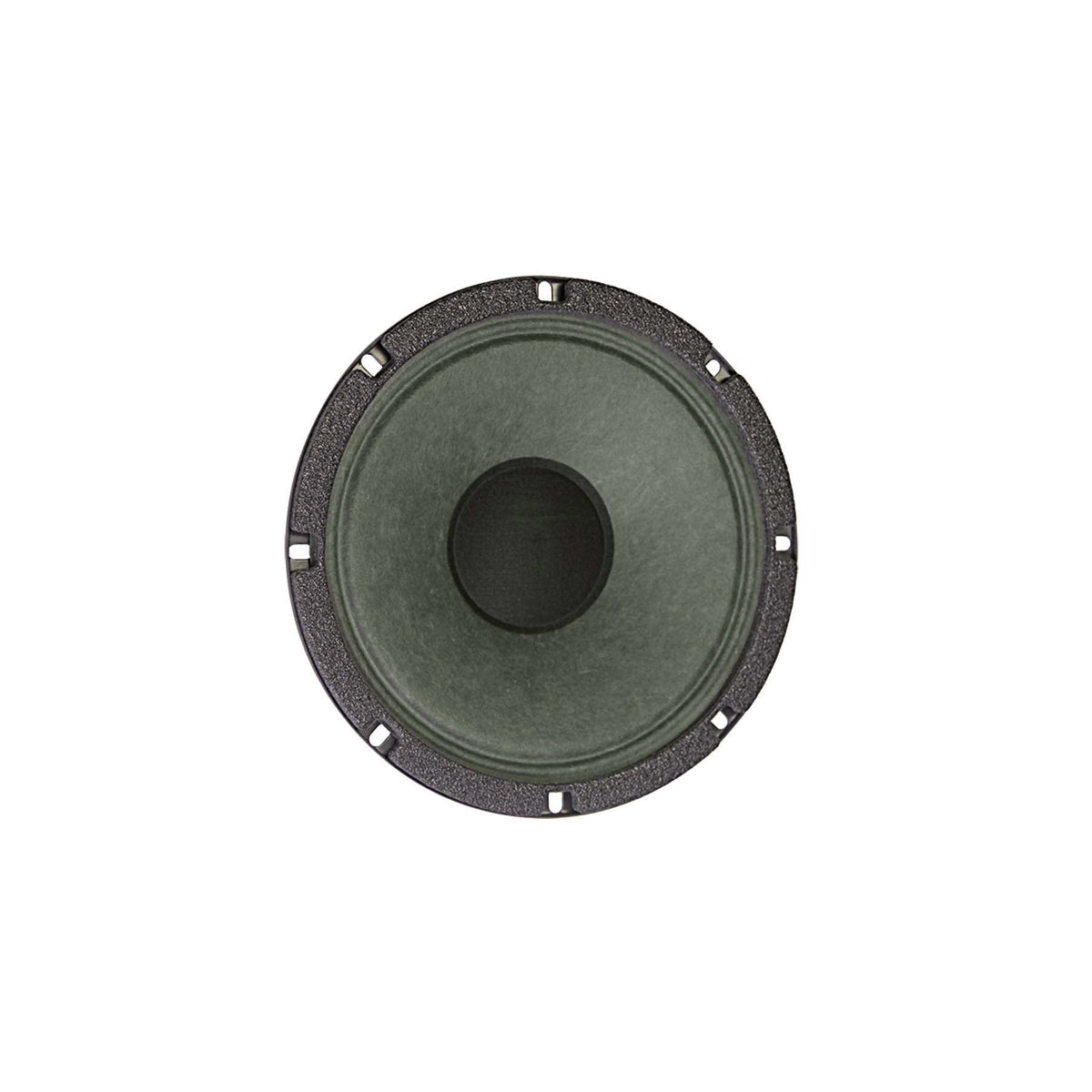820H 8" Lead / Rhythm Guitar Speaker - Hemp