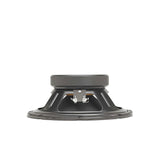 BETA-10A 10" American Standard Series Speaker