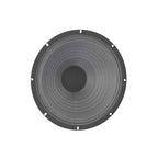 THE COPPERHEAD 10" Lead / Rhythm Guitar Speaker- American