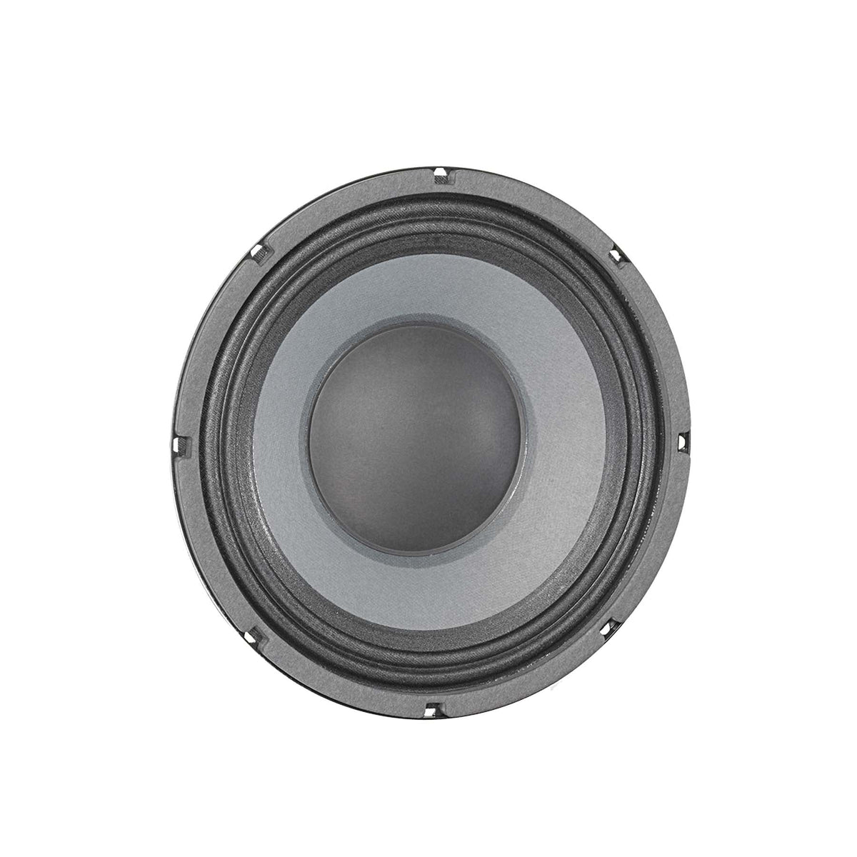 DELTA-10A-2 10" American Standard Series Speaker