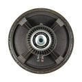 DOUBLE-T 15 | 15" Signature Guitar Speaker - Neodymium