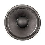 DOUBLE-T 15 | 15" Signature Guitar Speaker - Neodymium