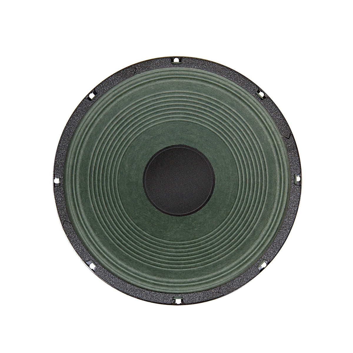 GUIT-FIDDLE 12" Lead / Rhythm Guitar Speaker