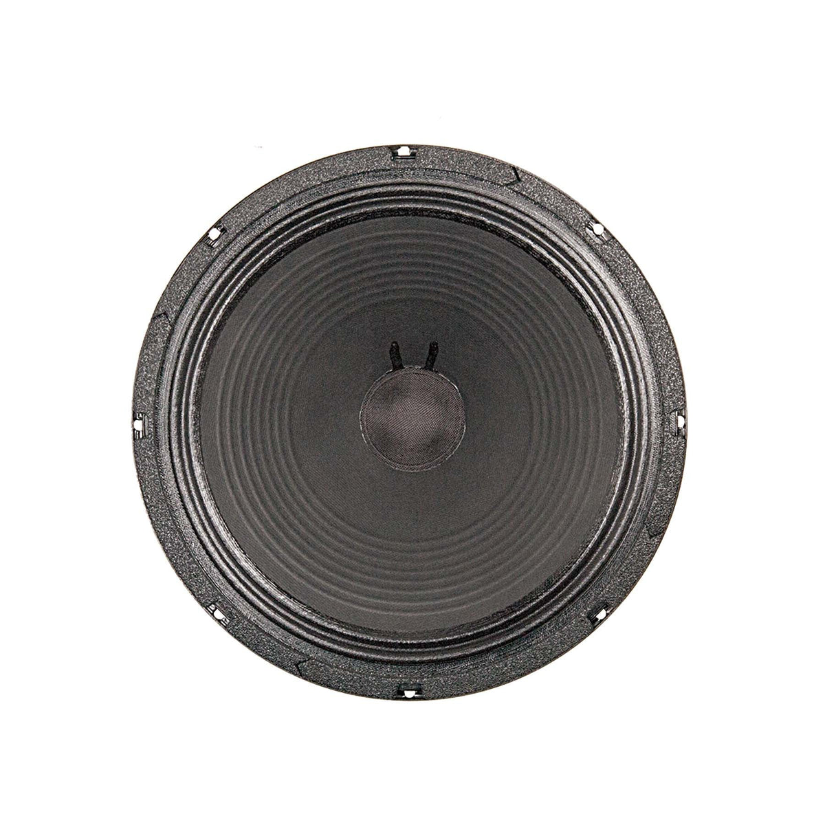 JS-1250 12" Signature Guitar Speaker