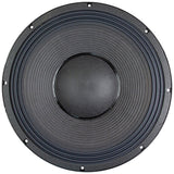 NSW6021-124 21" Speaker