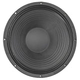 OMEGA PRO-15A 15" Professional Series Speaker