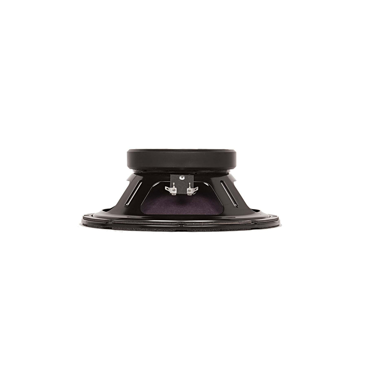 RAGIN CAJUN 10" Guitar Speaker-8 Ohm