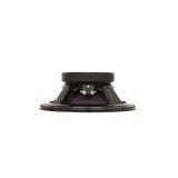 RAGIN CAJUN 10" Guitar Speaker-8 Ohm