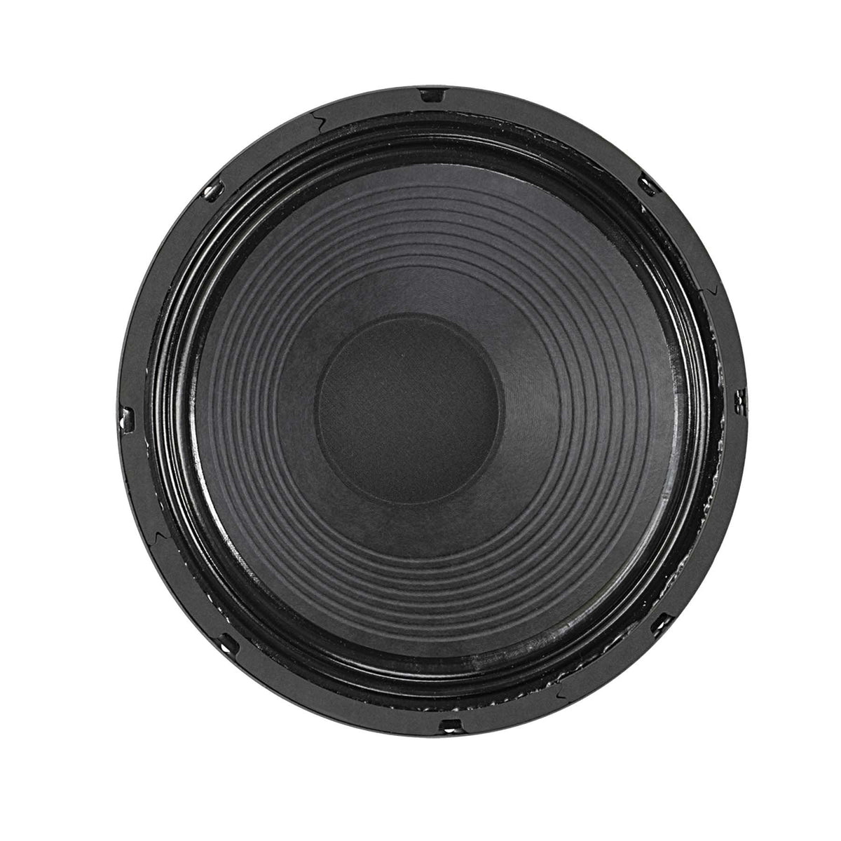 TEXAS HEAT 12" Lead / Rhythm Guitar Speaker- American